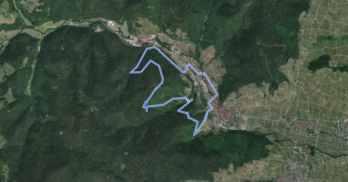 Маршрут Circuit Kuebelburg на спутниковом снимке