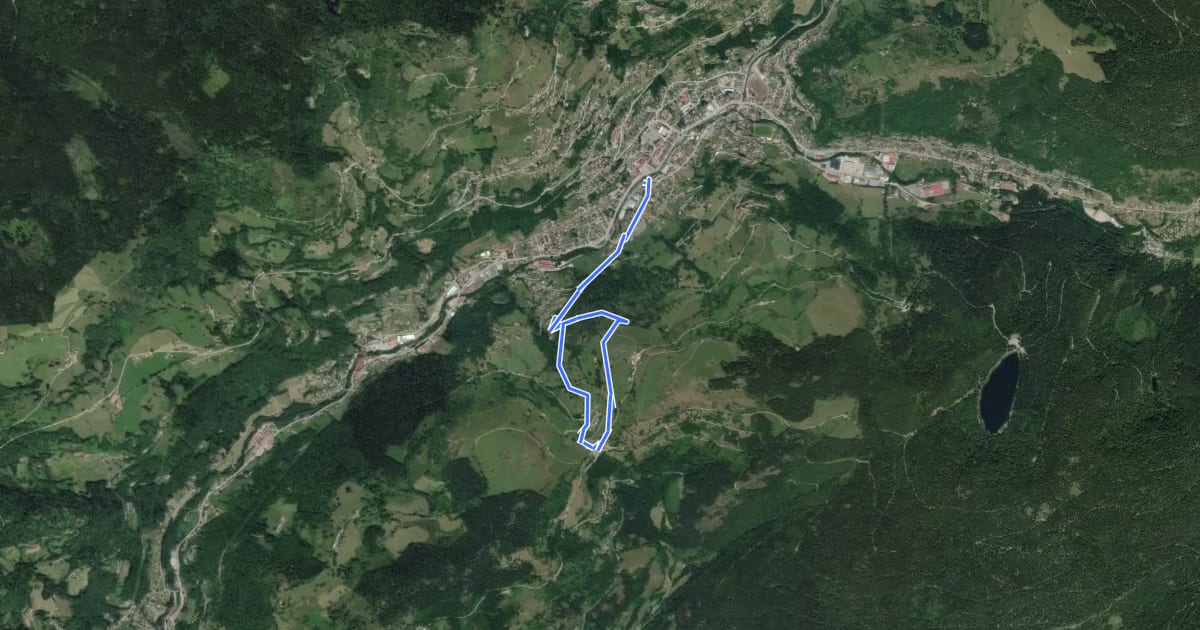 Маршрут Circuit La Bresse - Col du Brabant на спутниковом снимке