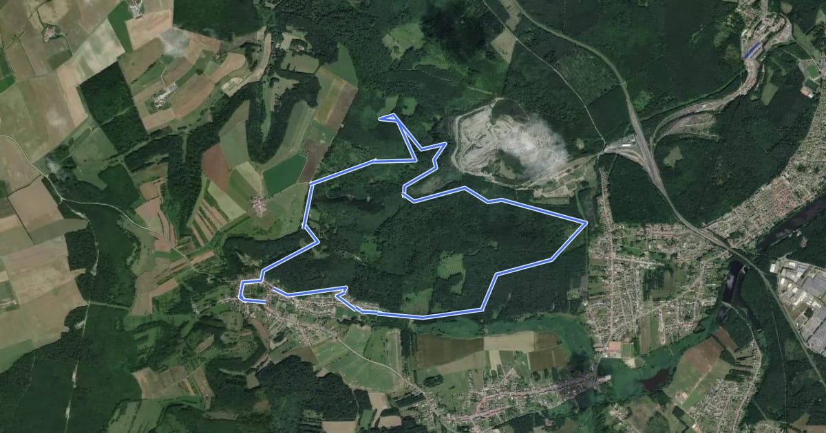 Маршрут Circuit la foret de la Houve на спутниковом снимке