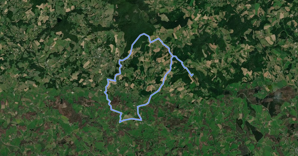 Маршрут Circuit Le Tour du Mont Gargan на спутниковом снимке