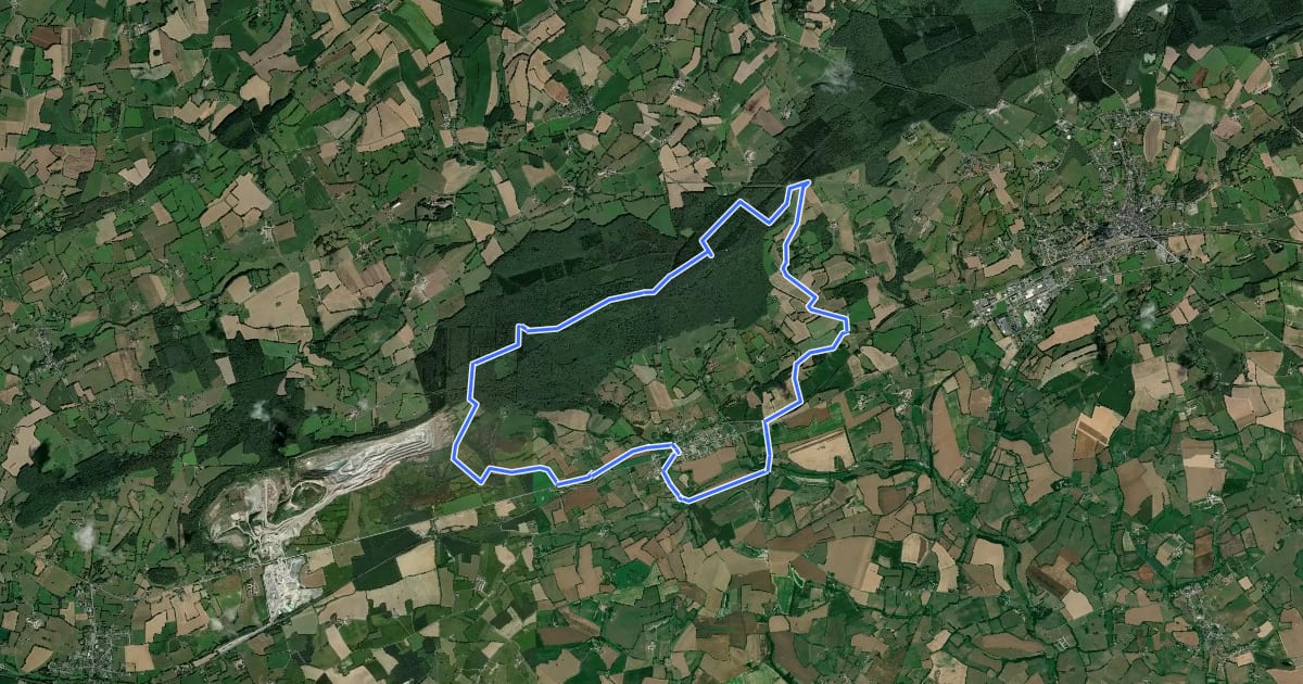Маршрут Circuit le village Vassé et la forêt на спутниковом снимке