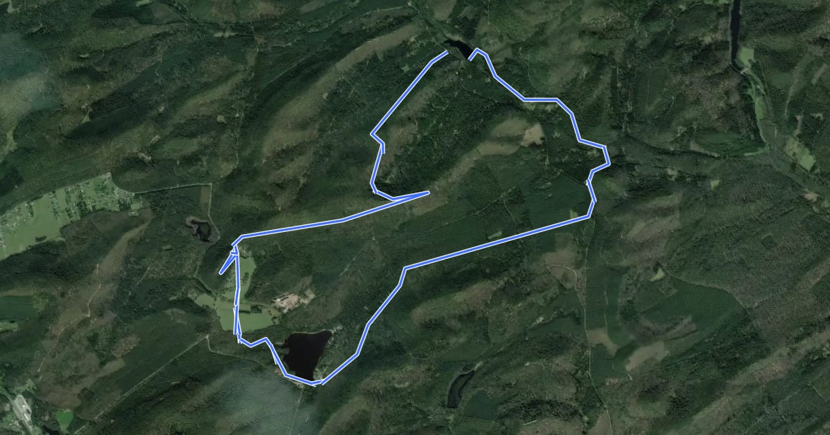 Маршрут Circuit moyen de l'étang de Hanau на спутниковом снимке