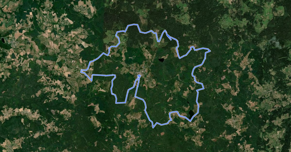 Маршрут Circuit N°40 на спутниковом снимке
