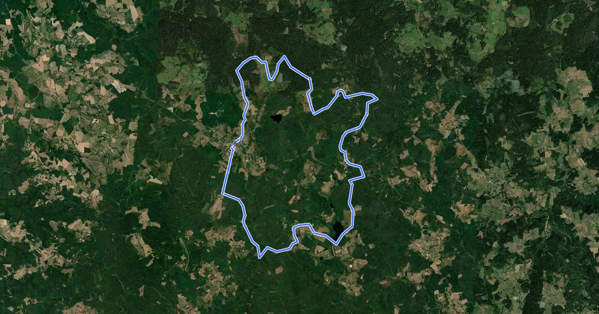 Маршрут Circuit N°41 на спутниковом снимке
