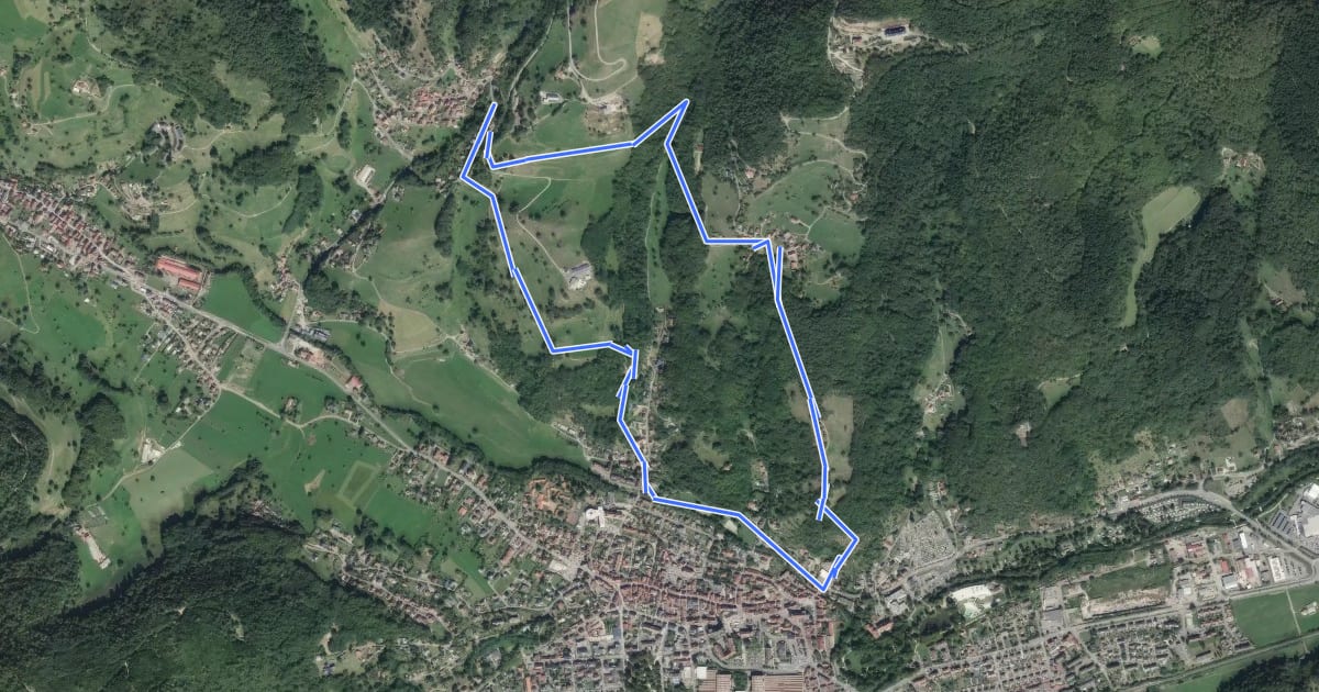 Маршрут Circuit Narrenstein на спутниковом снимке