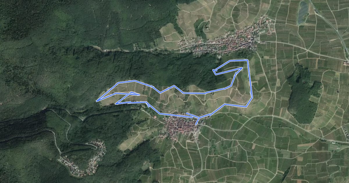 Маршрут Circuit Niedermorschwihr - Katzenthal на спутниковом снимке