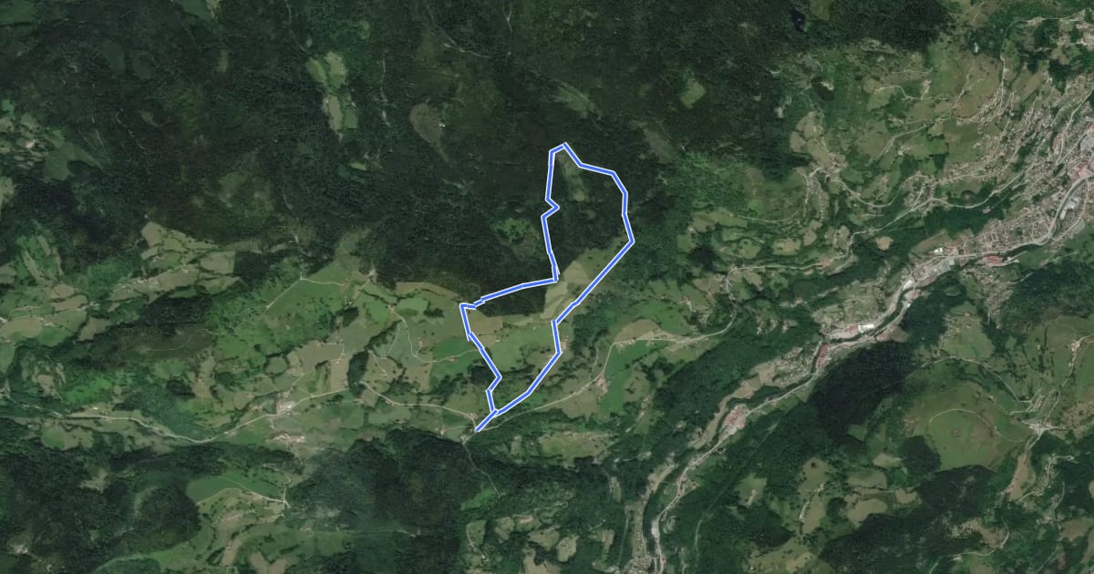 Маршрут Circuit panoramique du Rondfaing на спутниковом снимке
