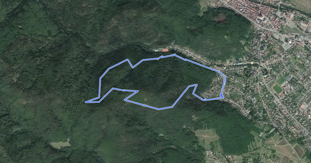 Маршрут Circuit Riegelbourg на спутниковом снимке