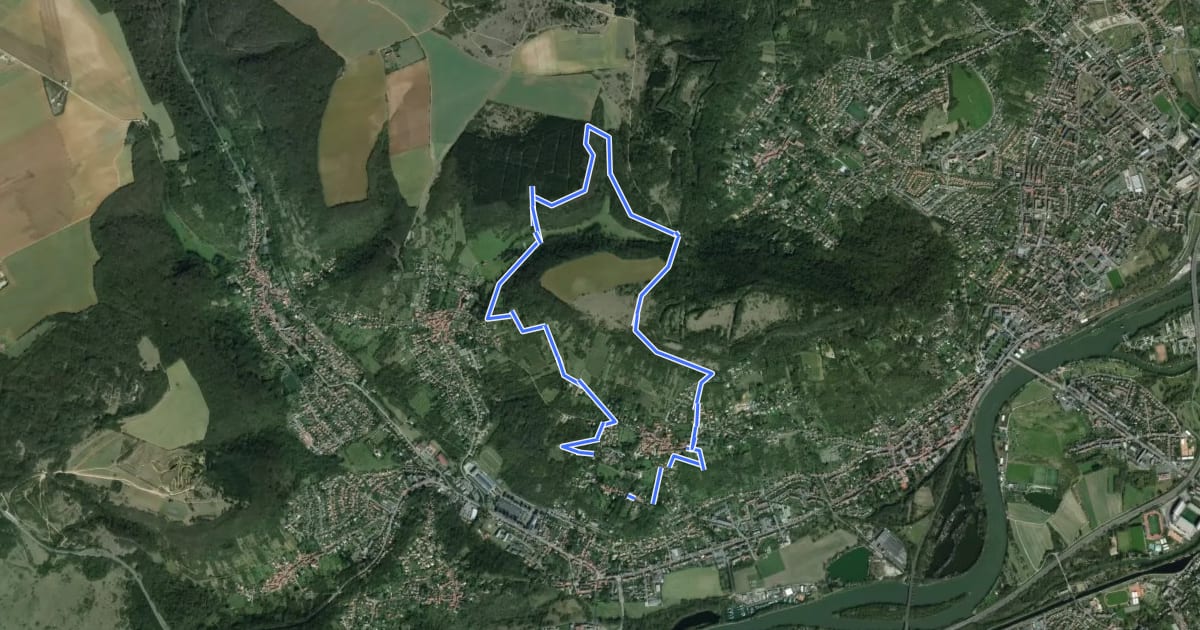 Маршрут Circuit Robert Schuman на спутниковом снимке