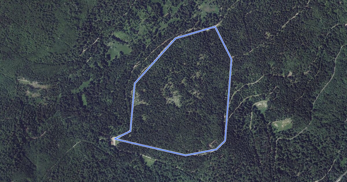 Маршрут Circuit Rochelotte на спутниковом снимке