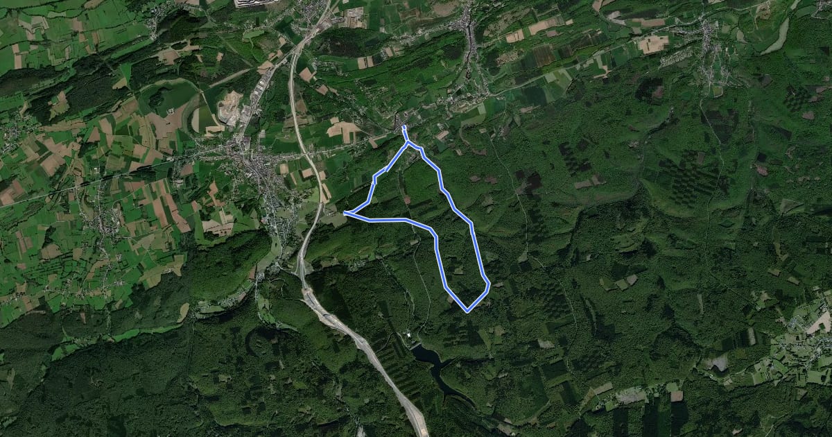 Маршрут Circuit Saint-Antoine на спутниковом снимке