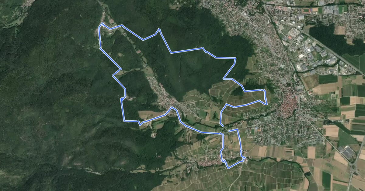 Маршрут Circuit Sainte-Anne на спутниковом снимке