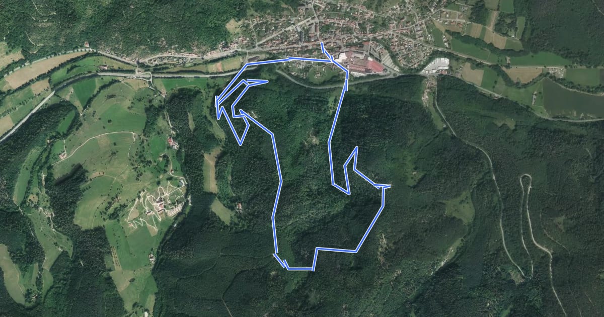 Маршрут Circuit Schweinsbach на спутниковом снимке