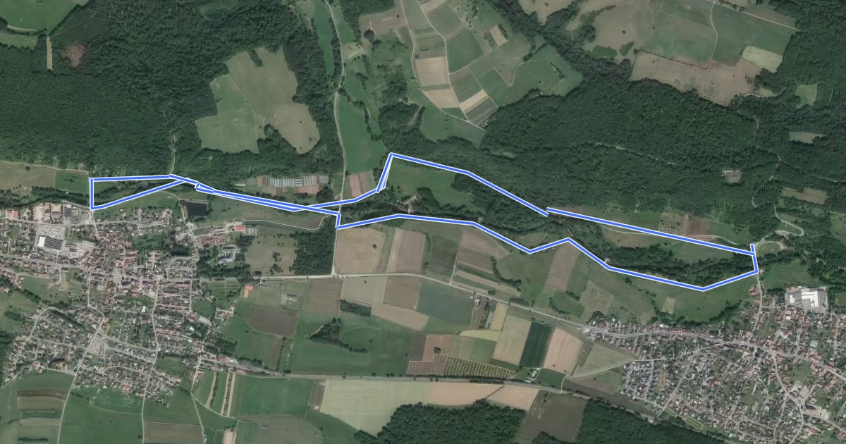 Маршрут Circuit Senheim - Guewenheim на спутниковом снимке