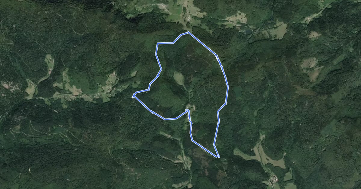 Маршрут Circuit sur les Hauts de Lamadeleine на спутниковом снимке