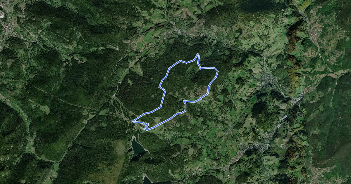 Маршрут Circuit étang du Devin на спутниковом снимке