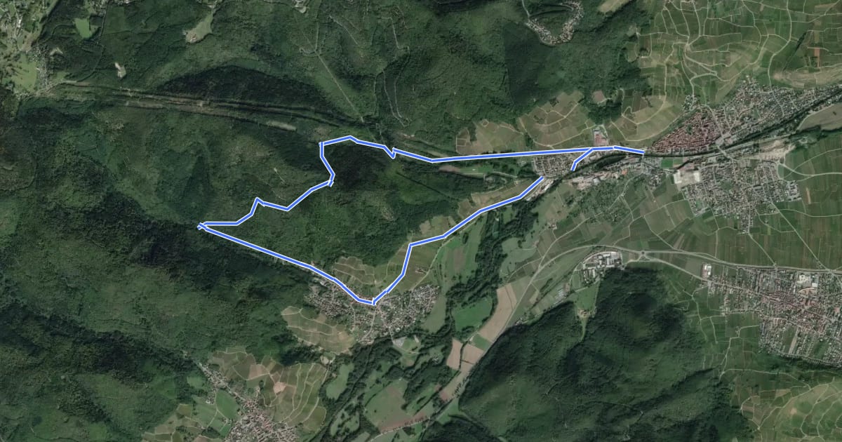 Маршрут Circuit Turckheim - Zimmerbach на спутниковом снимке