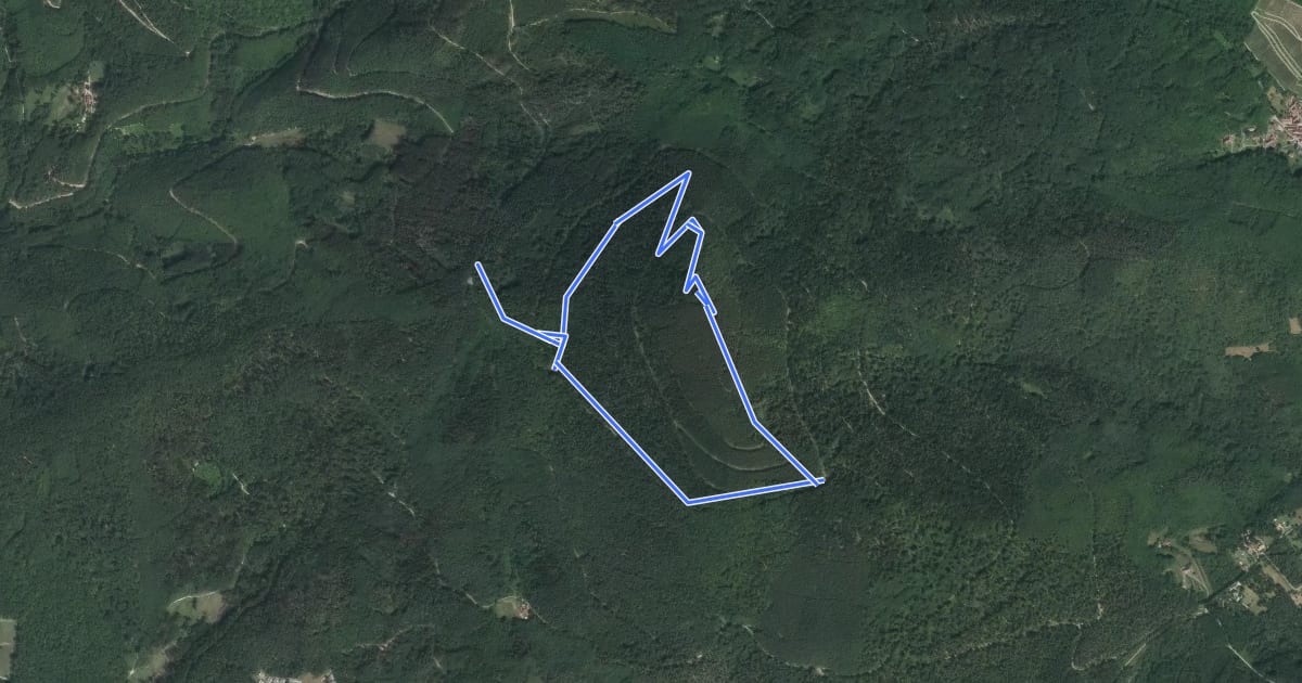 Маршрут Circuit Ungersberg на спутниковом снимке