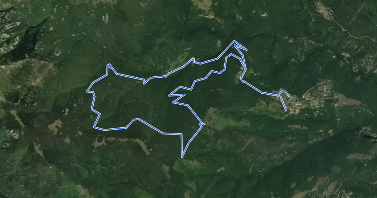Маршрут Circuit VTT FFC на спутниковом снимке