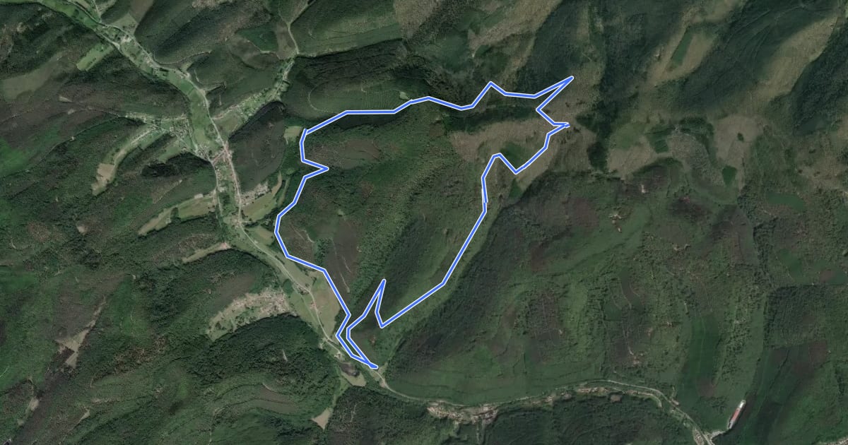 Маршрут Circuit VTT Niederbronn 2 на спутниковом снимке