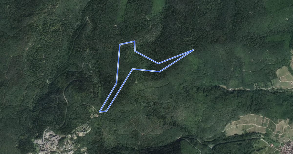 Маршрут Circuit Wineckwald на спутниковом снимке