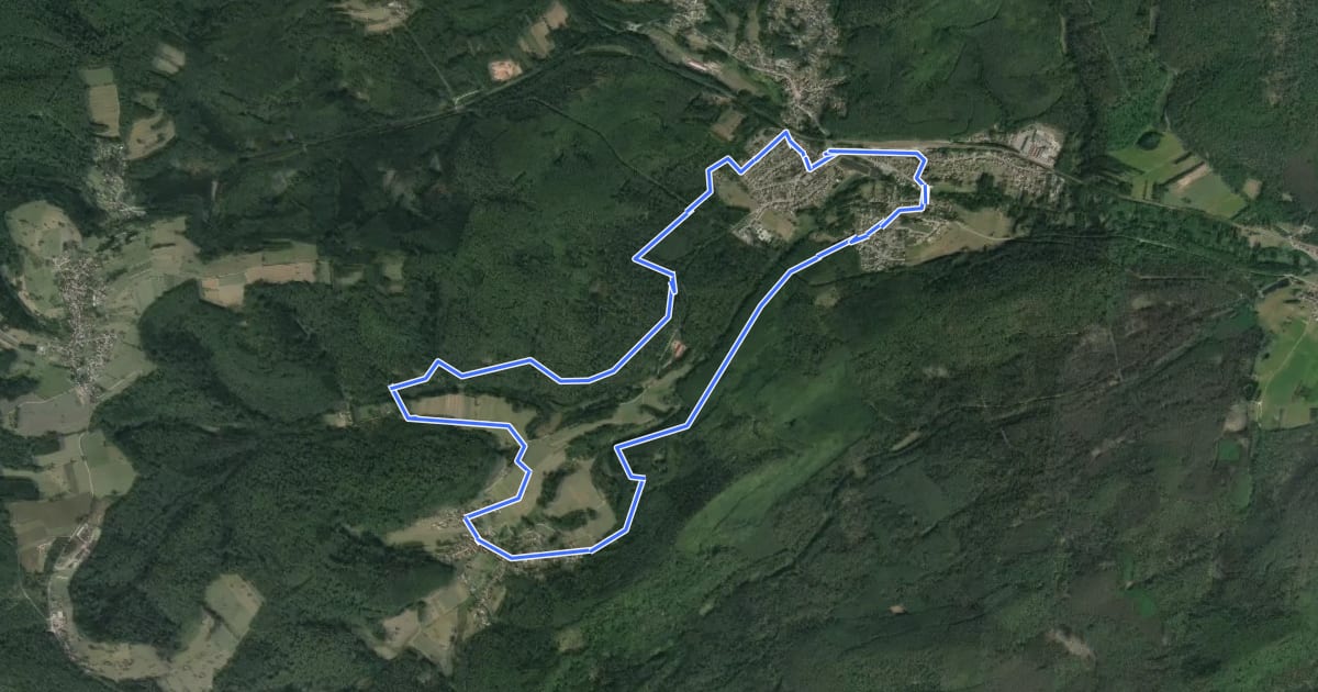 Маршрут Circuit Wingen - Zittersheim на спутниковом снимке