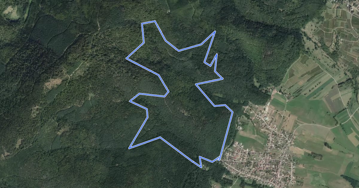 Маршрут Circuit Wintzfelden на спутниковом снимке