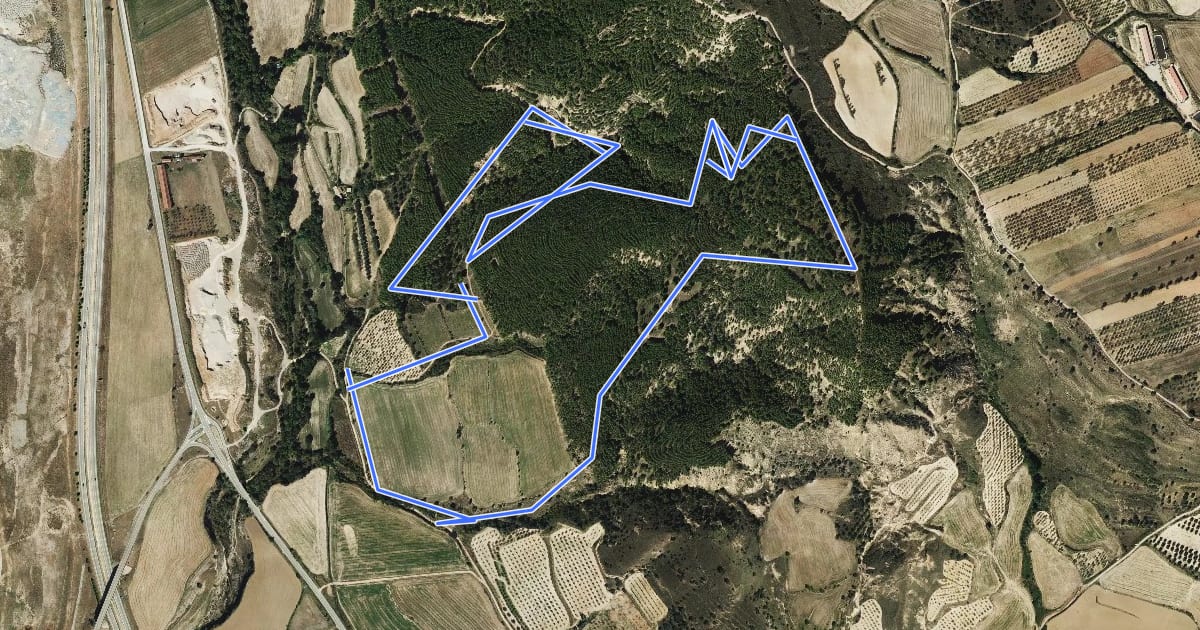 Маршрут Circuito Cross-Country de Igriés на спутниковом снимке