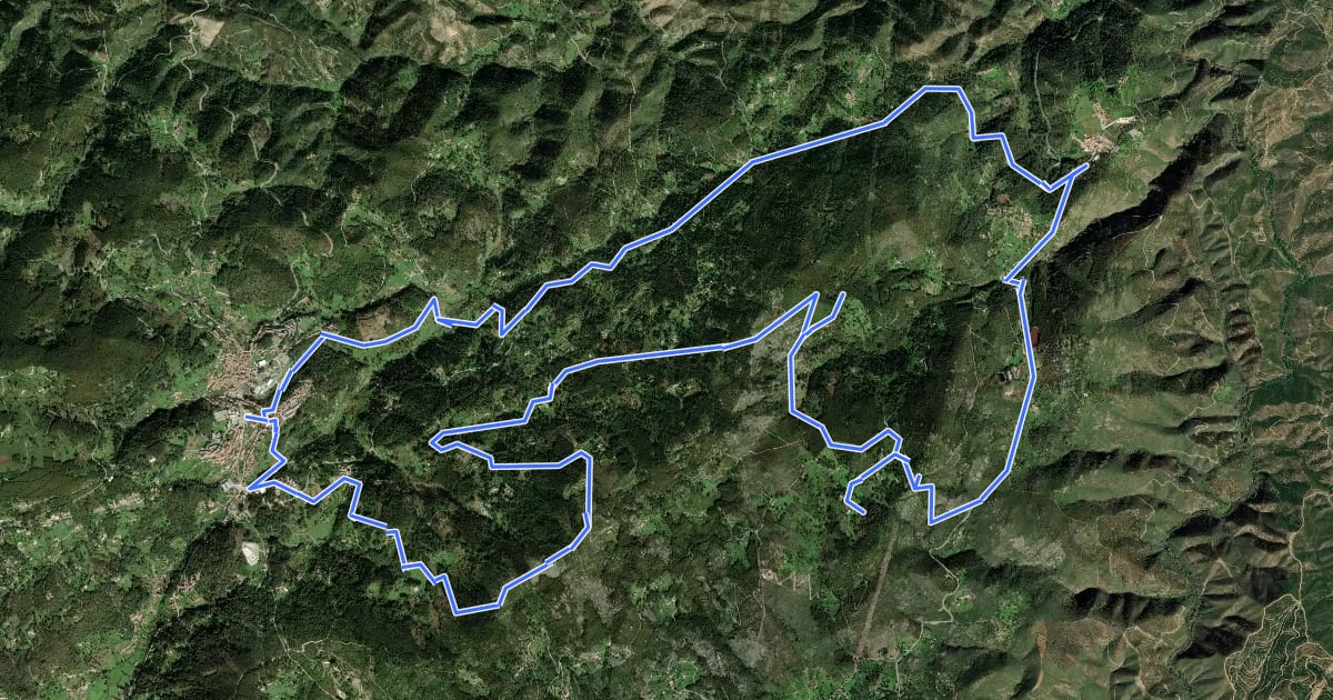 Маршрут Circuito da Picota (Rota das Árvores Monumentais) на спутниковом снимке