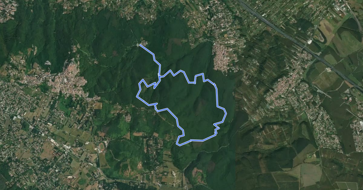 Маршрут Circuito delle Fonti di Rocca Priora на спутниковом снимке