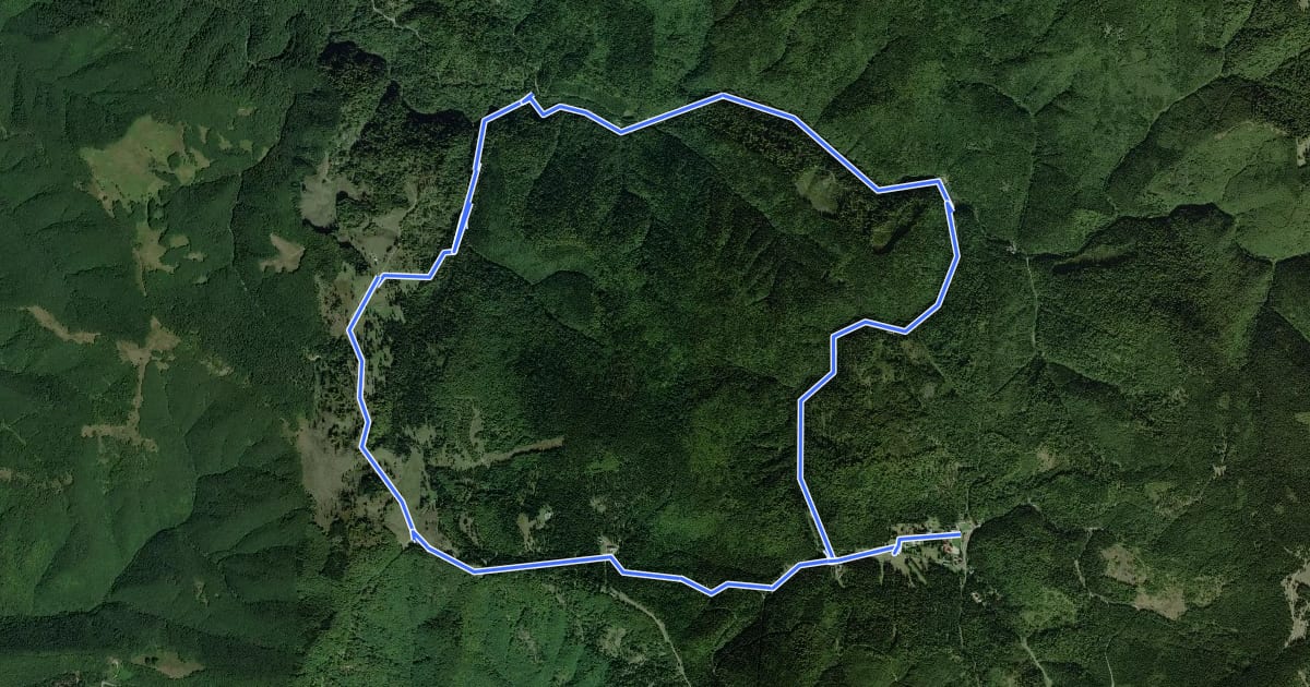 Маршрут Circuitul Cascada Săritoarea Ieduțului на спутниковом снимке