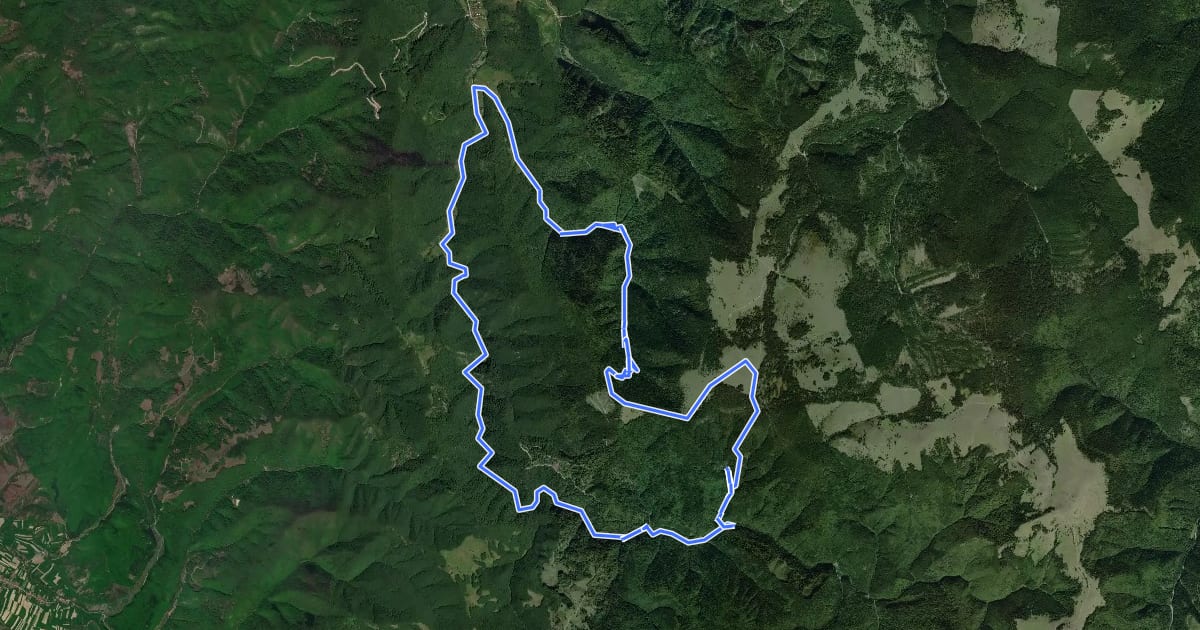 Маршрут Circuitul cascadelor din Valea Iadului на спутниковом снимке