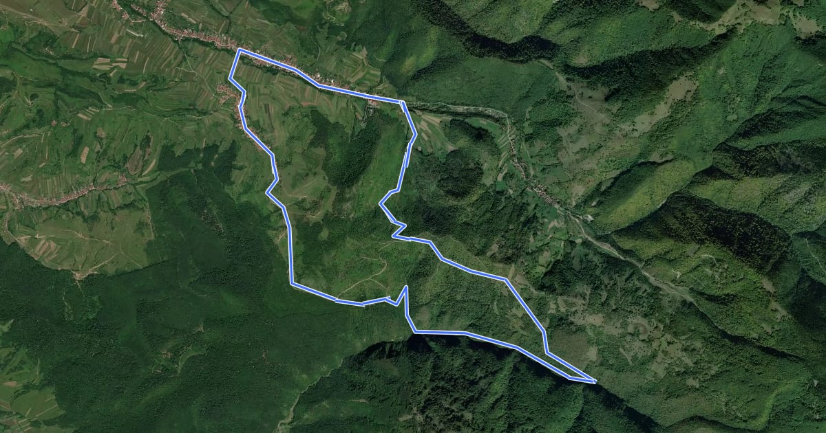 Маршрут Circuitul Peșterii Urșilor на спутниковом снимке