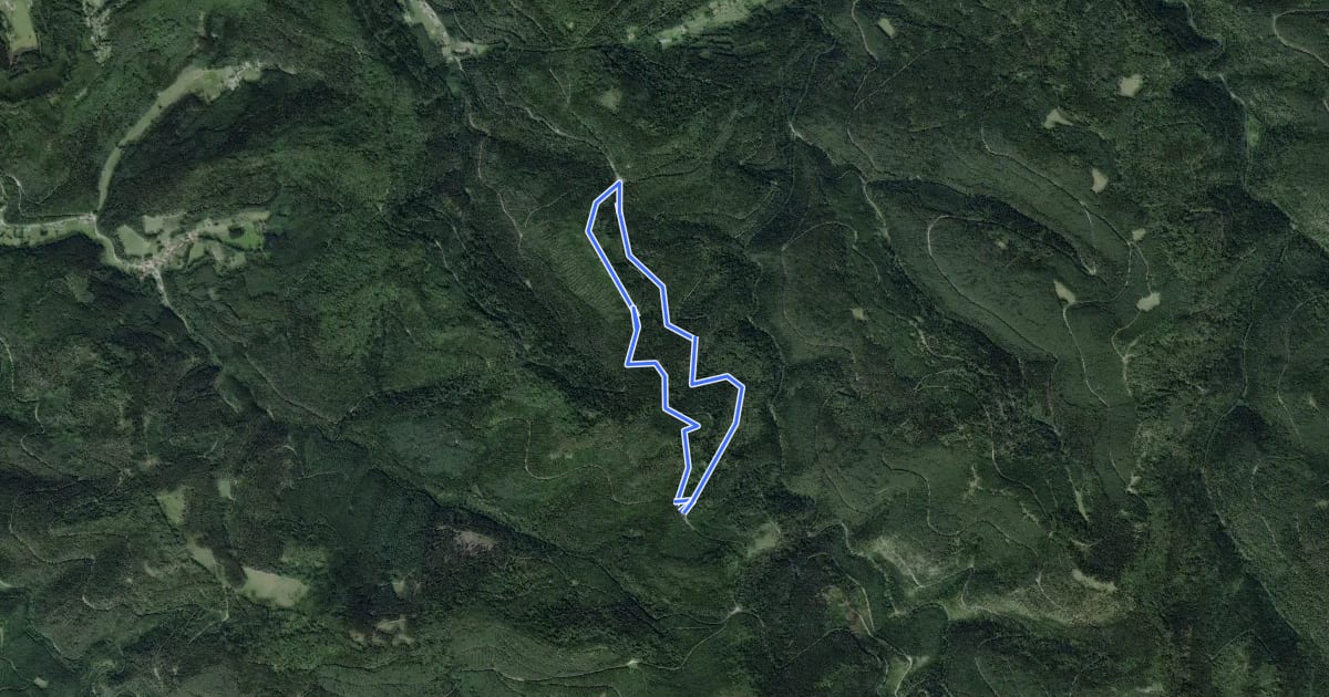 Маршрут Circulaire de la Croix de Haspach на спутниковом снимке