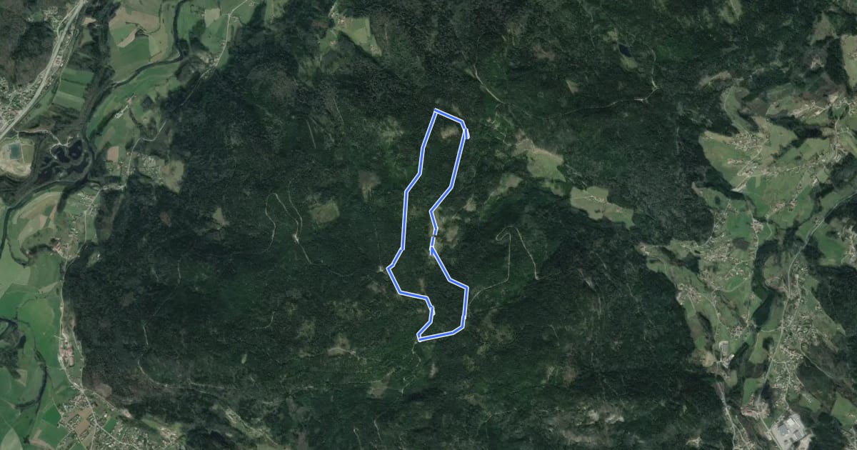 Маршрут Circulaire de la Roche Du Thin на спутниковом снимке