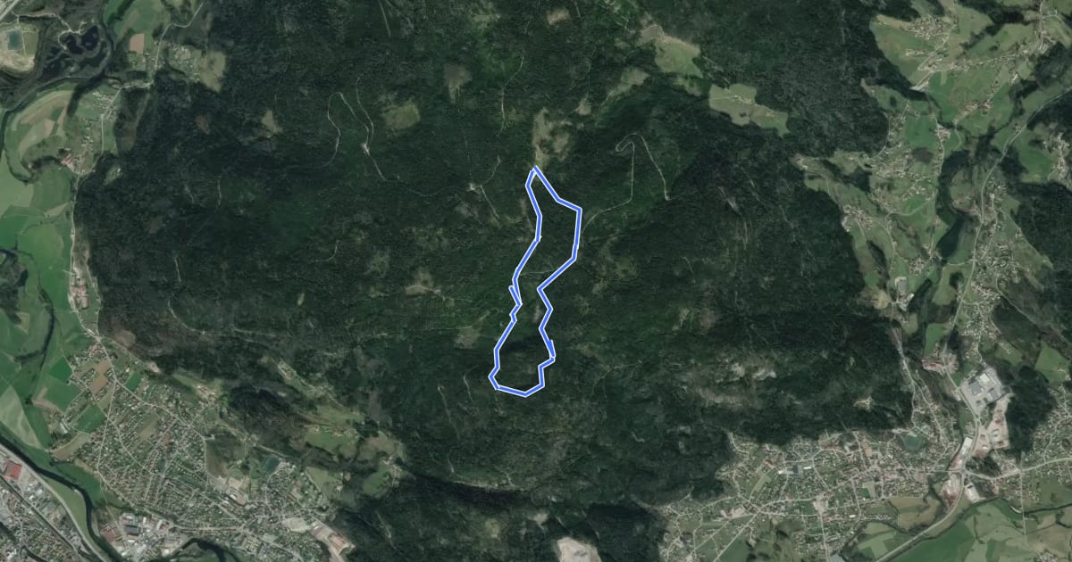 Маршрут Circulaire de Saint-Arnould на спутниковом снимке