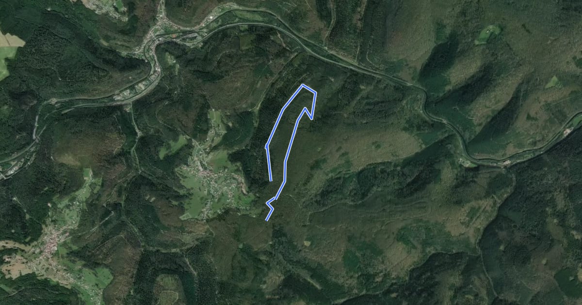 Маршрут Circulaire du Bannwald на спутниковом снимке