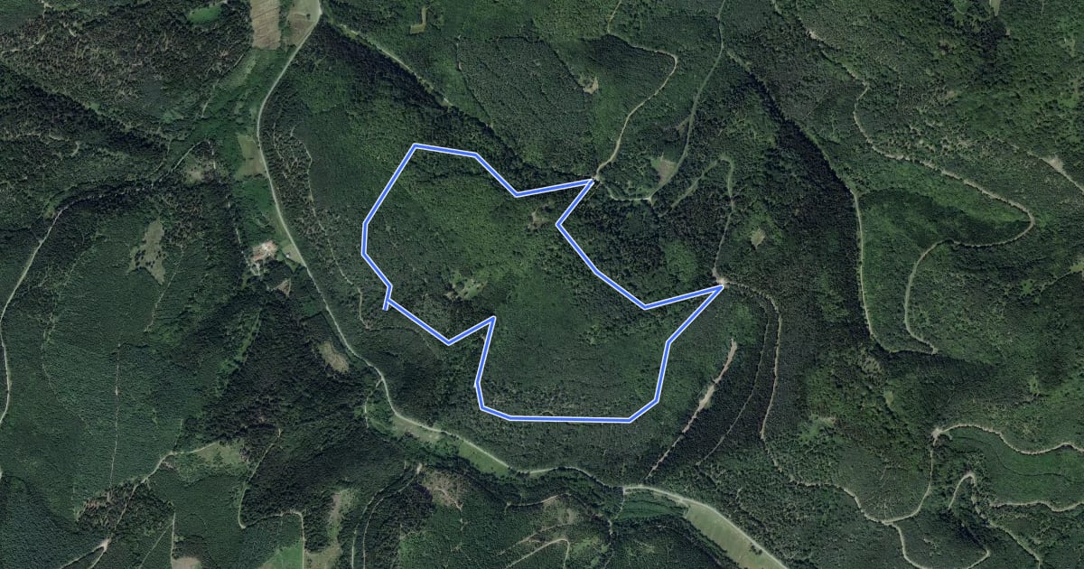 Маршрут Circulaire du Haut de Halmoze на спутниковом снимке