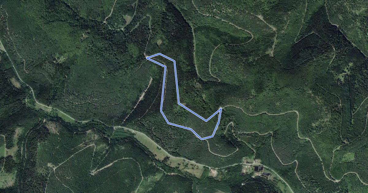 Маршрут Circulaire du Haut du Bon Dieu на спутниковом снимке