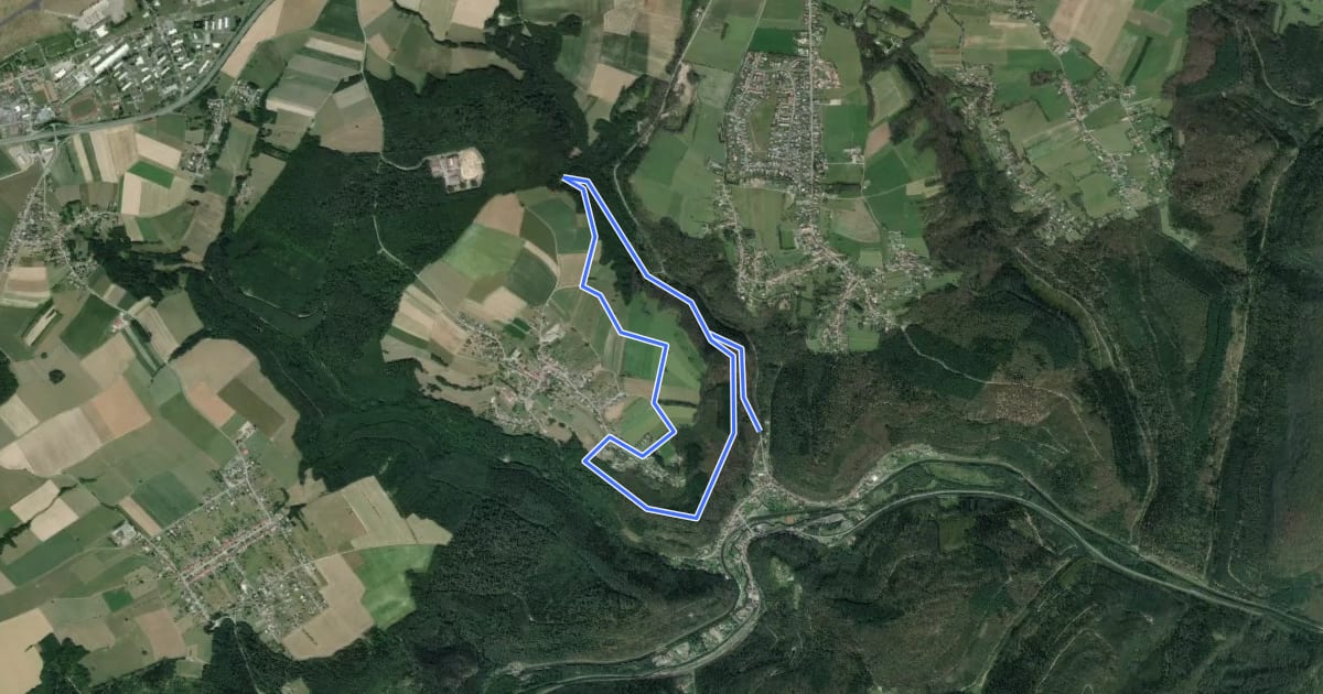 Маршрут Circulaire du Heiligenberg на спутниковом снимке