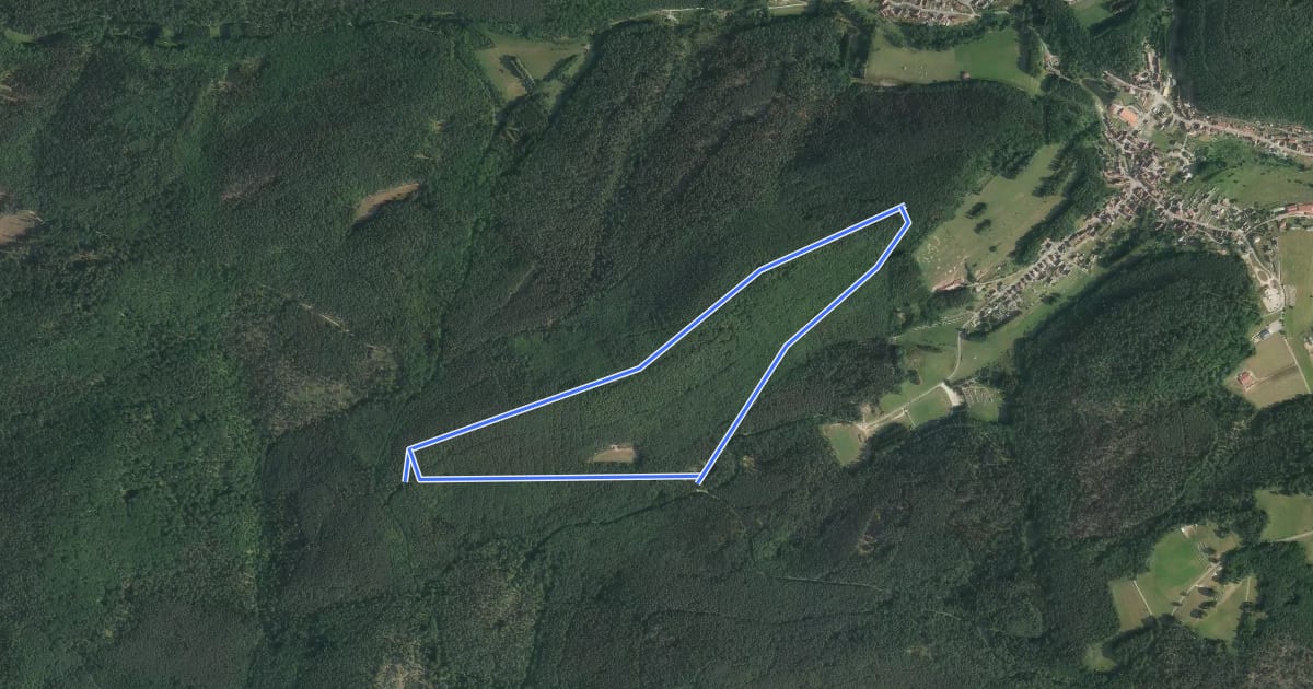 Маршрут Circulaire du Kirchberg на спутниковом снимке