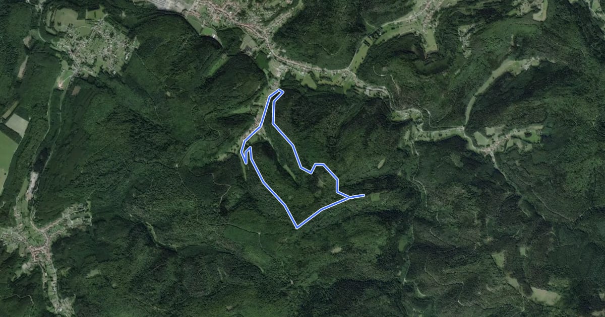 Маршрут Circulaire du Vieux Château на спутниковом снимке