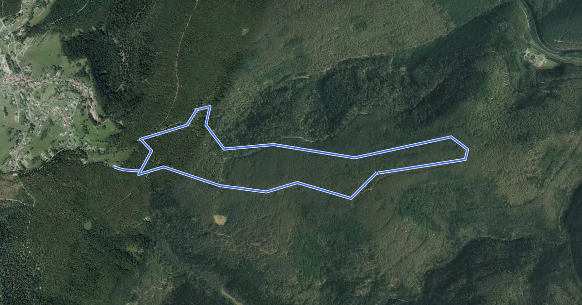 Маршрут Circulaire du Wasserwald на спутниковом снимке