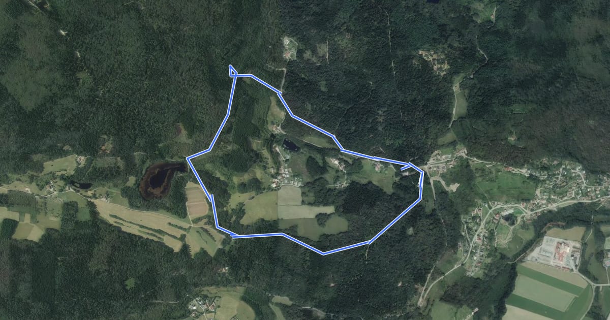 Маршрут Circulaire Étang de la Plaine-Col de Raon на спутниковом снимке