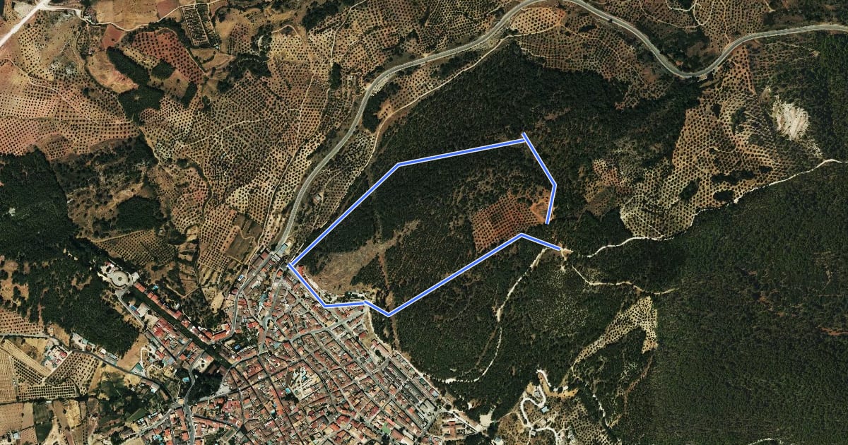 Маршрут Circular Cueva de Santa Quiteria на спутниковом снимке