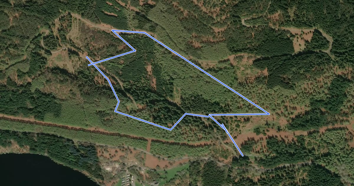 Маршрут Clachan Trail на спутниковом снимке
