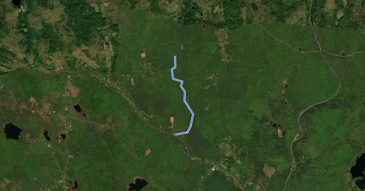 Маршрут Clam River Trail на спутниковом снимке