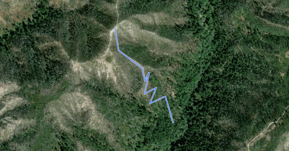 Маршрут Clark Connector Trail на спутниковом снимке