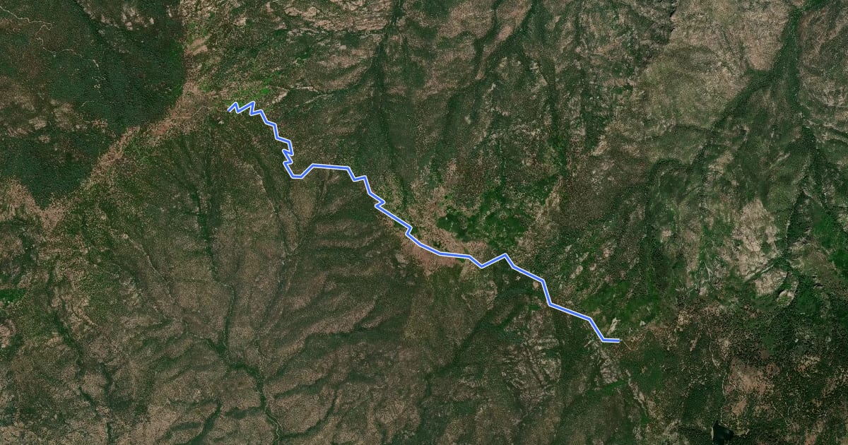 Маршрут Clark Peak Trail #301 на спутниковом снимке