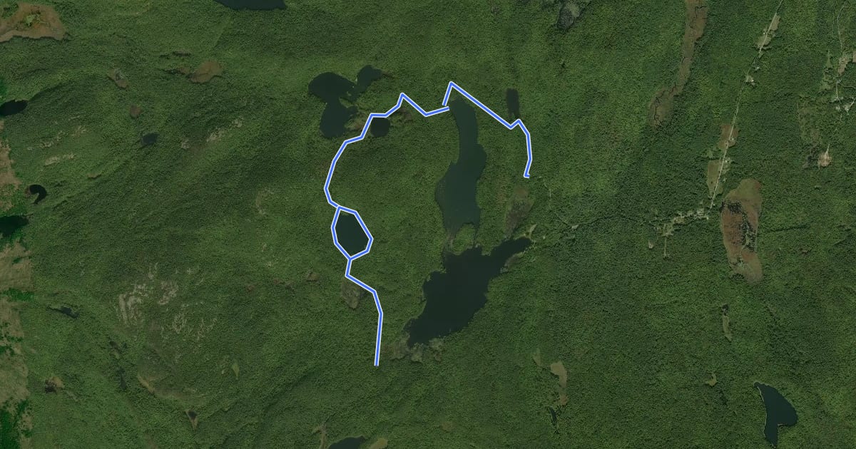 Маршрут Clear Pond Trail на спутниковом снимке